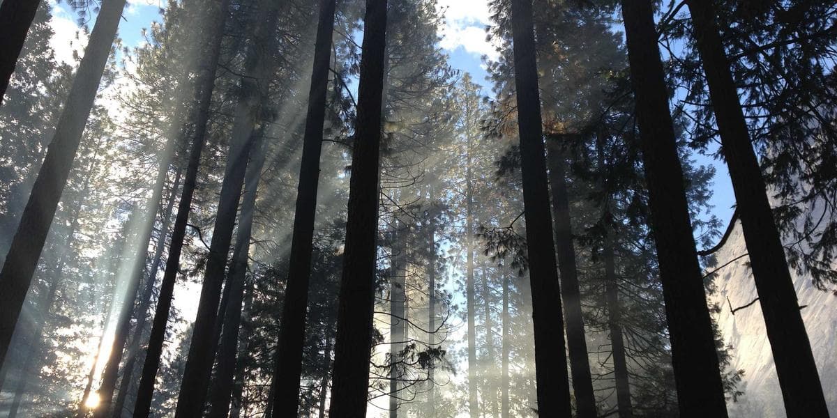 Le meilleur moment pour publier sur les réseaux sociaux