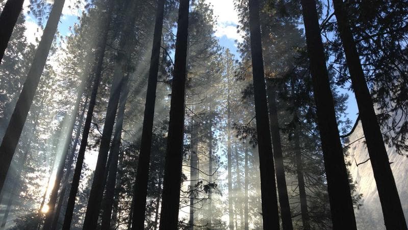 Le meilleur moment pour publier sur les réseaux sociaux