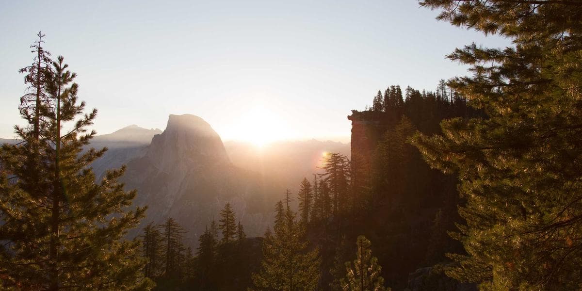 Instagram Reels vs TikTok : où est-il plus rentable de créer du contenu ?