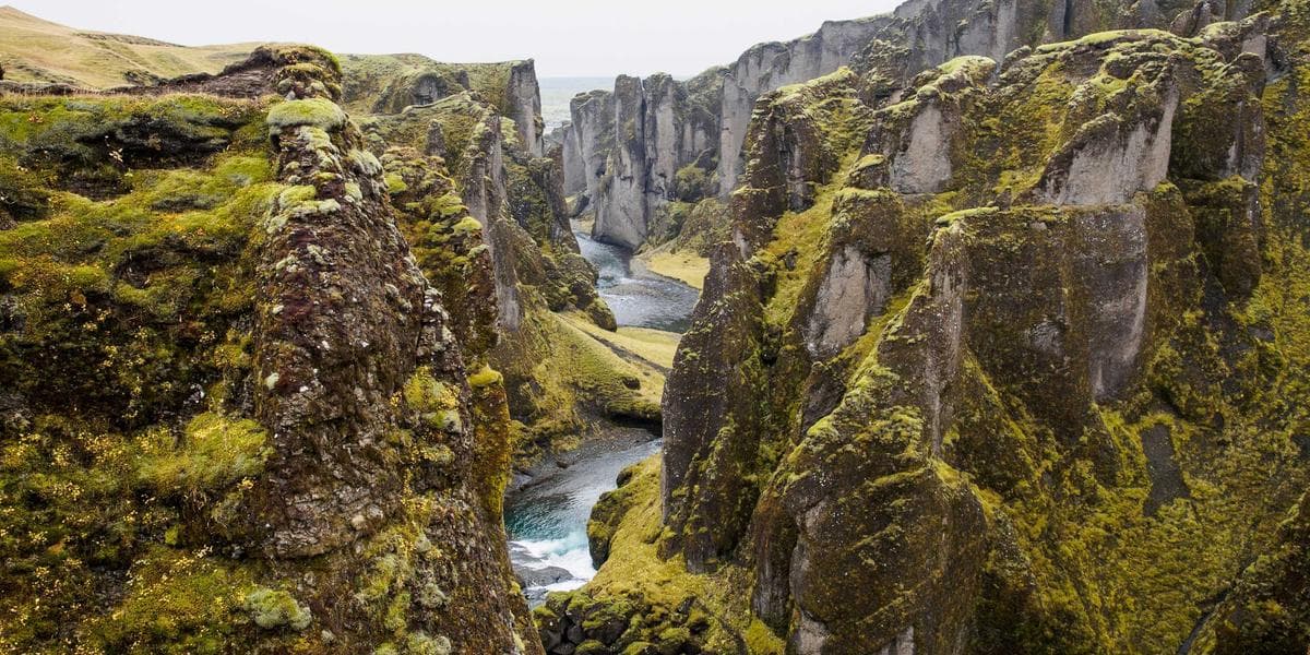 L'algorithme TikTok : comment il fonctionne et comment en tirer parti